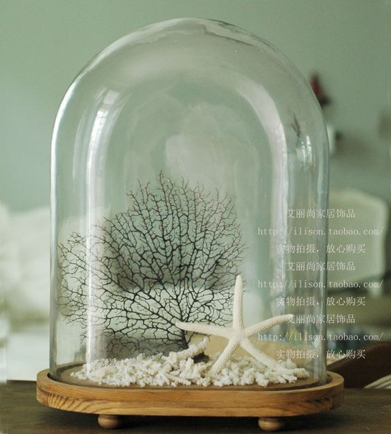 Concurrenten Miniatuur Ijzig De glazen stolp