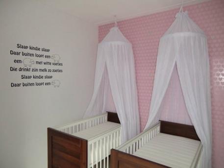 lexicon Voorwaarde Onmiddellijk Leuke voorbeeld voor eenTweeling babykamer voor meisjes